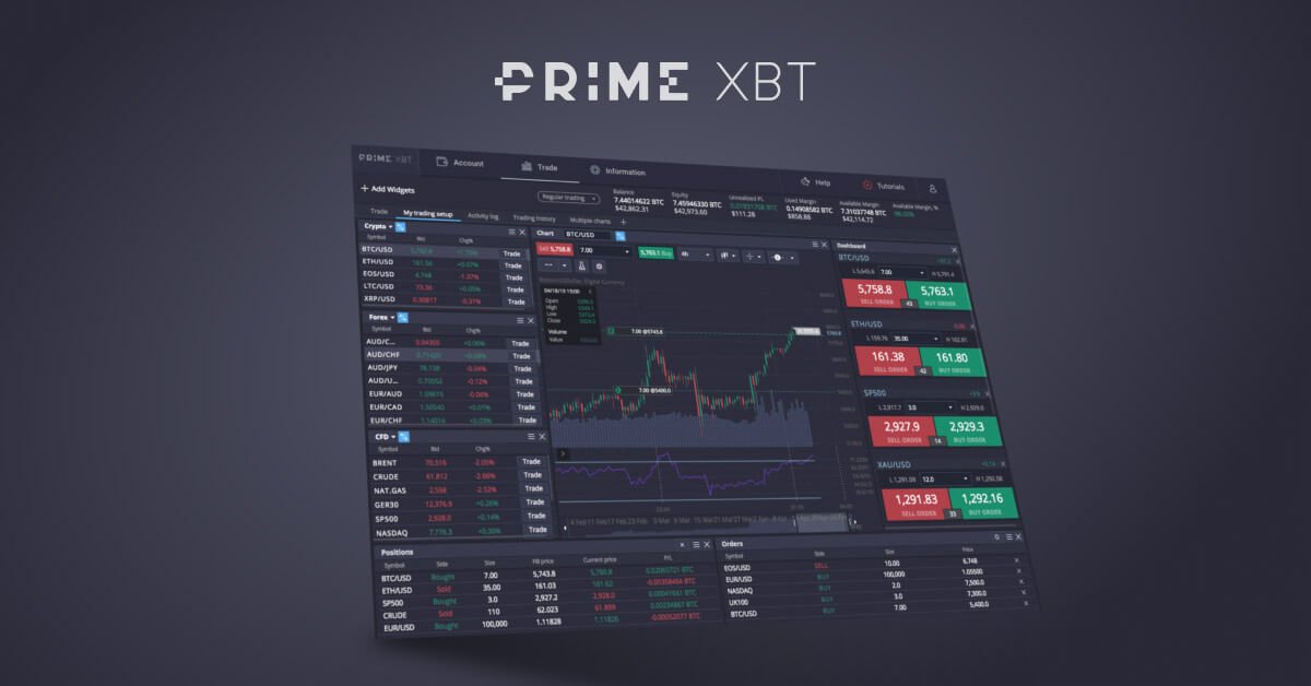 Maximizing Your Profits A Comprehensive Guide to PrimeXBT Trade